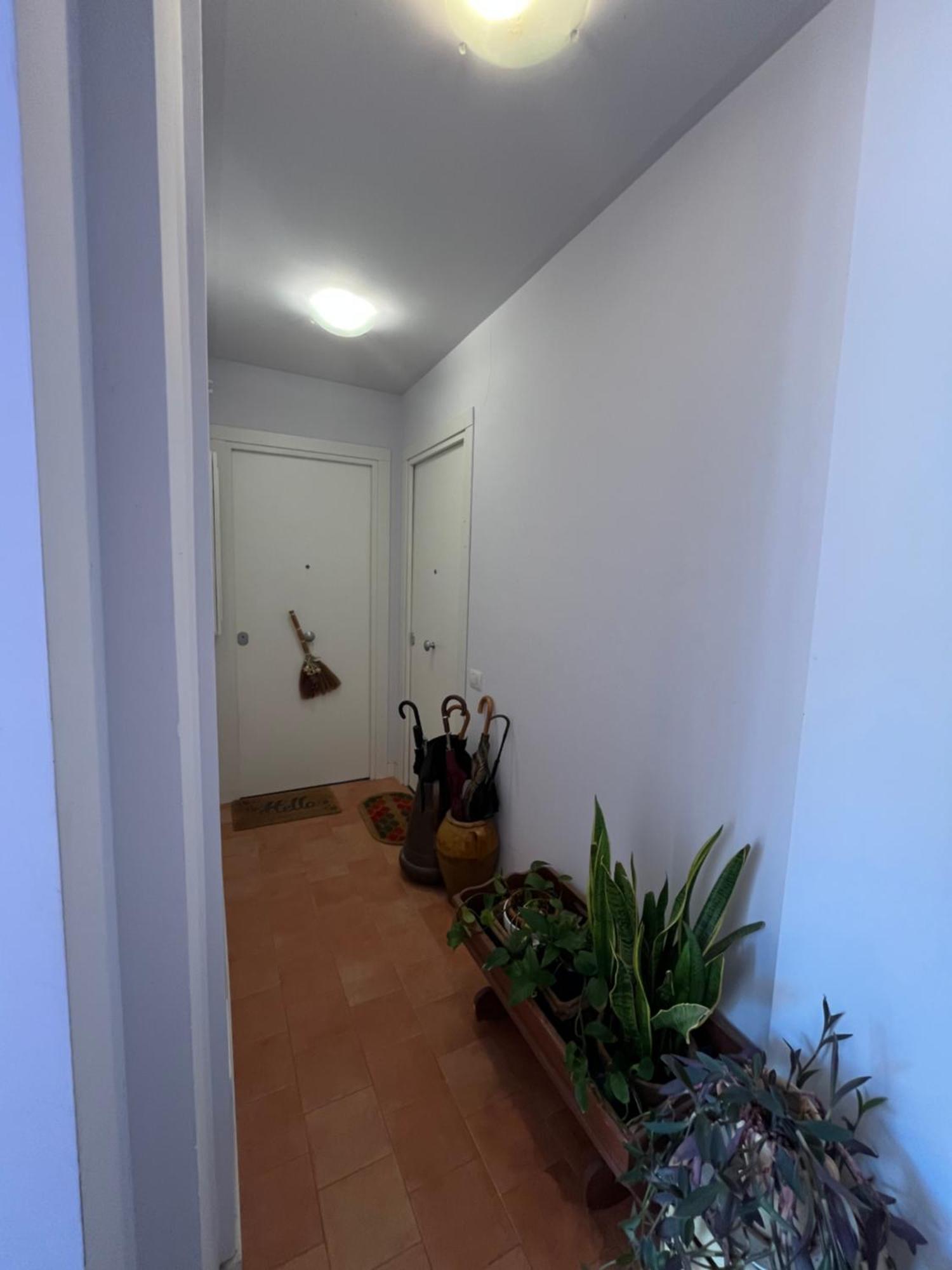 Apartment Mini Domus Al Centro Storico Di